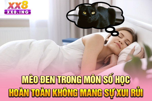 Mèo đen trong môn số học hoàn toàn không mang sự xui rủi