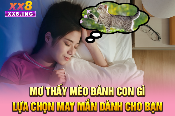 Mơ Thấy Mèo Đánh Con Gì | Lựa Chọn May Mắn Dành Cho Bạn