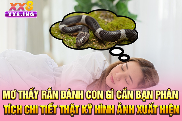 Mơ thấy rắn đánh con gì cần bạn phân tích chi tiết thật kỹ hình ảnh xuất hiện